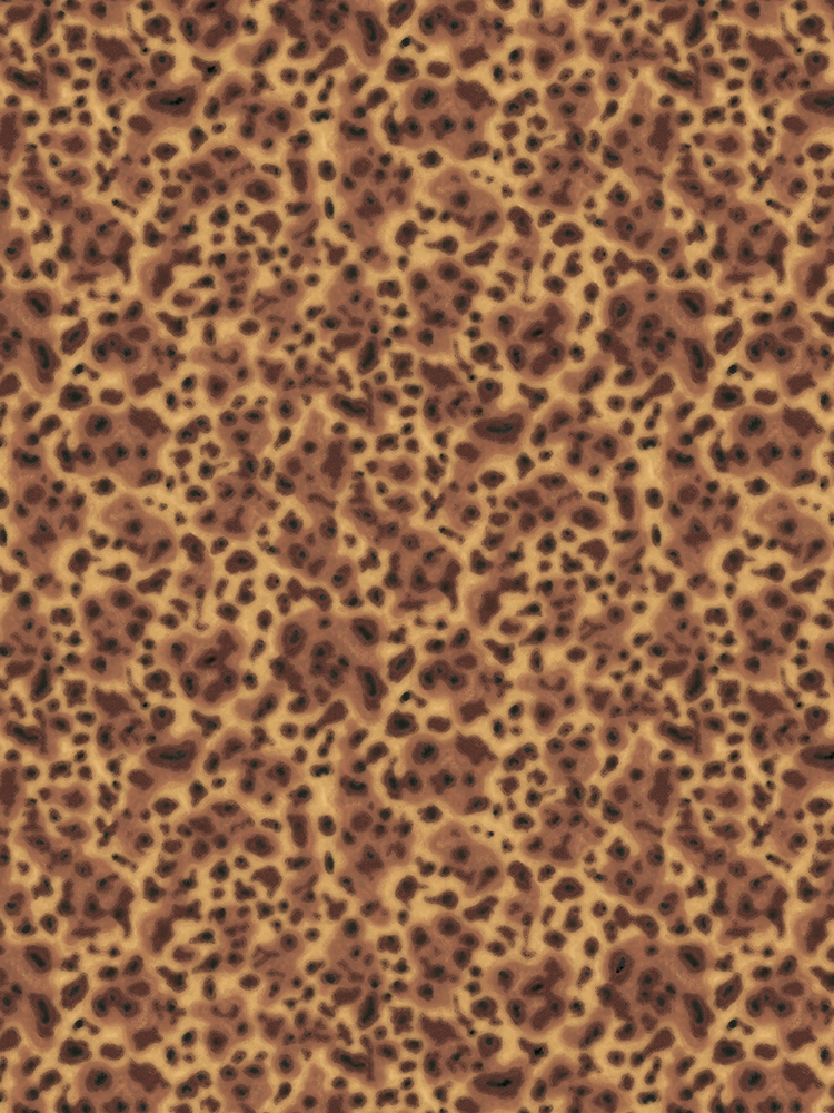 Tortoise Shell
