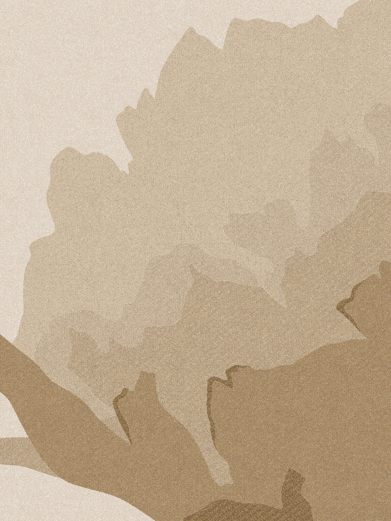 Desert Broom