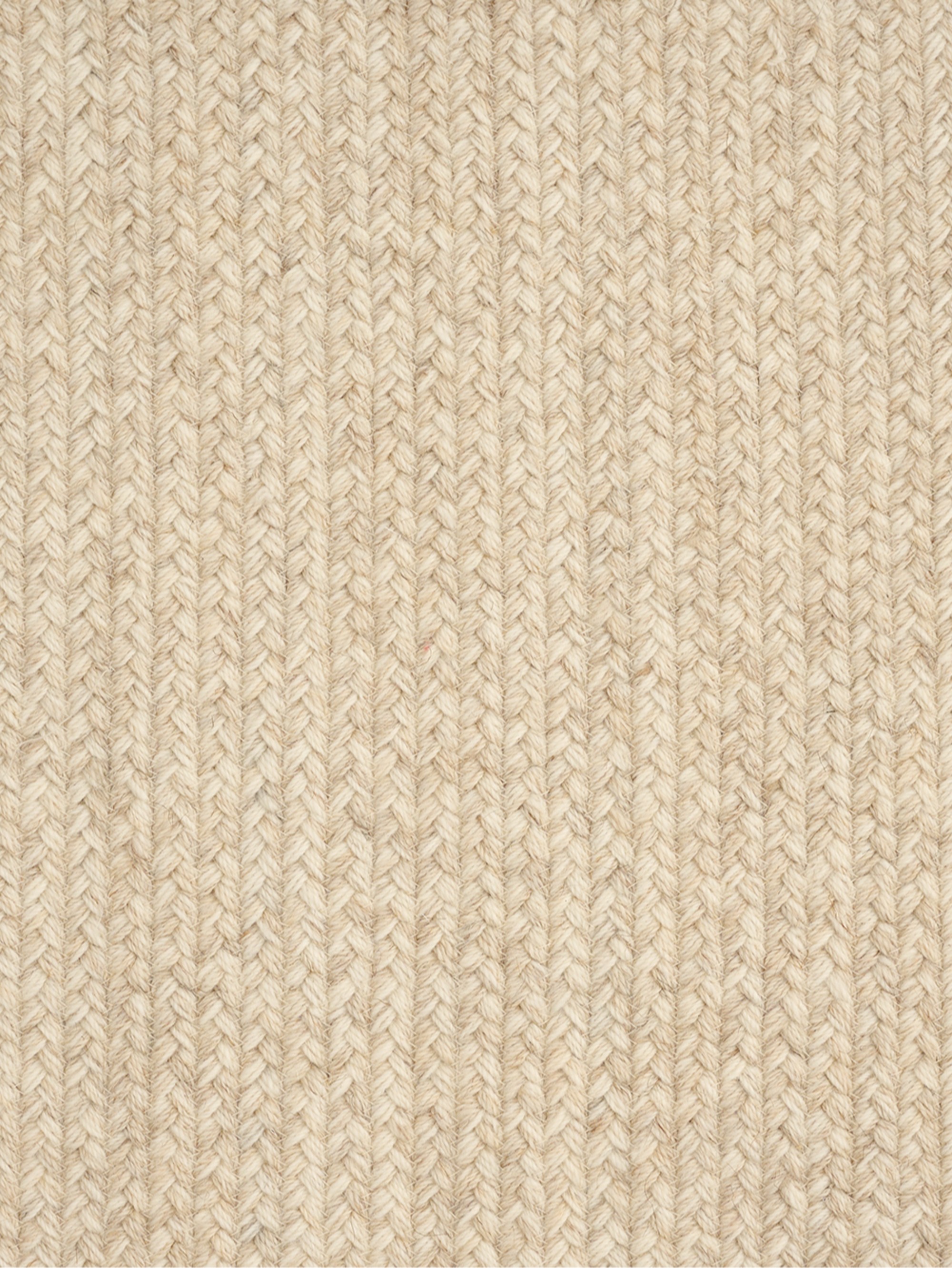 Liora Oyster