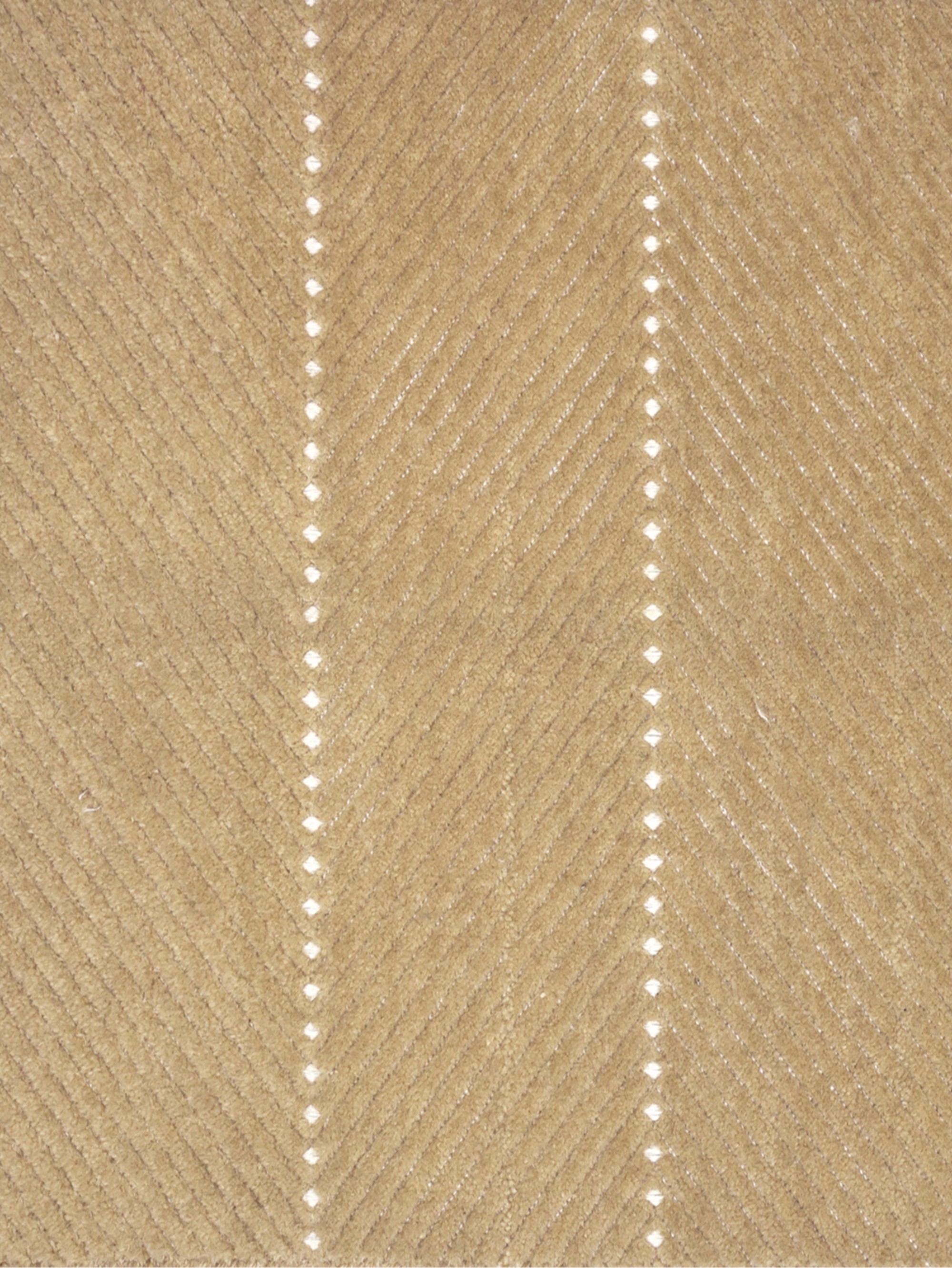 Emin Carmel