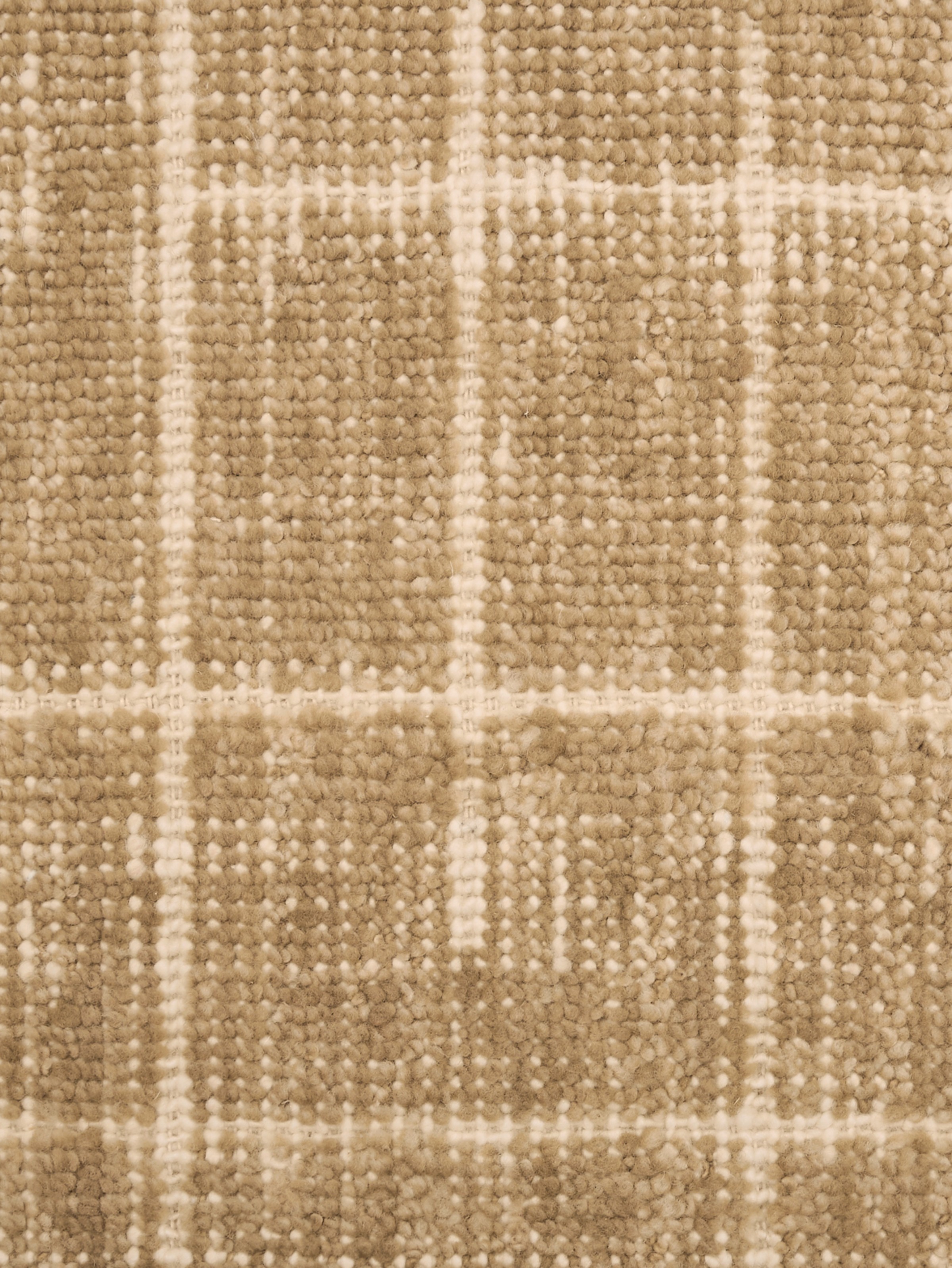 Nolira Maple