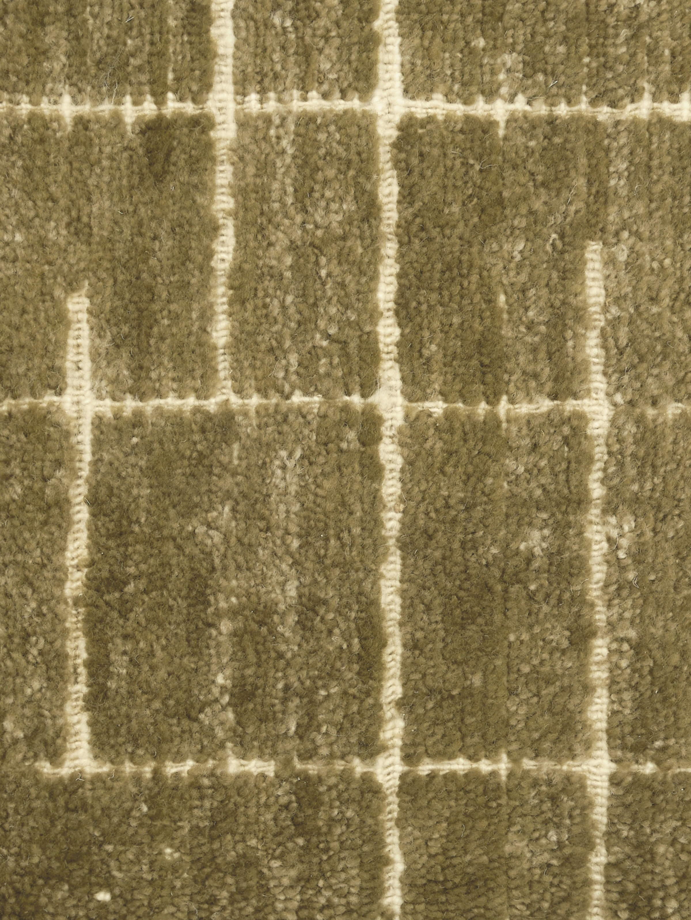Nolira Olive
