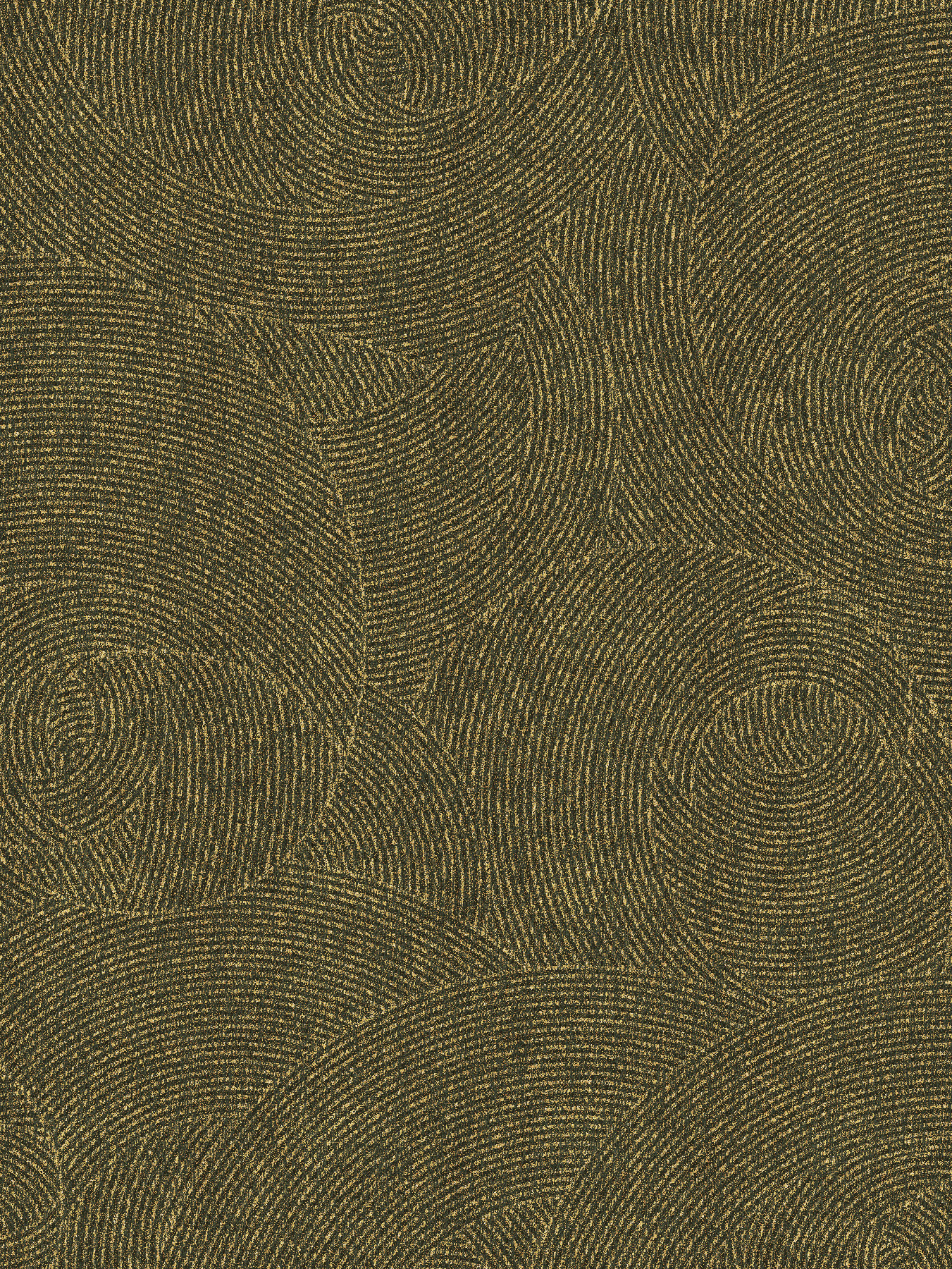 (QS) Barisi II